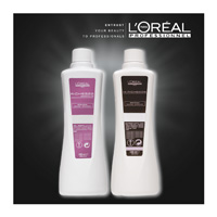 Richesse Czujka Diacolor - L OREAL